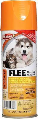 FLEE PLUS IGR AEROSOL (6.5OZ)