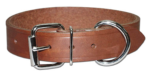 19" BULLY COLLAR