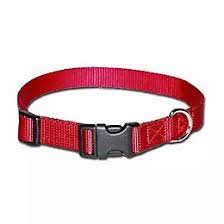 KWIK KLIP COLLAR XS RED