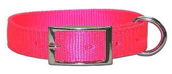 21" PINK COLLAR