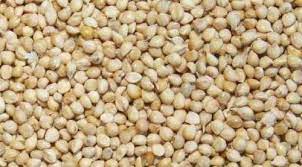 WHITE MILLET (50LB)