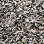 BLACK OIL SUNFLOWER SEEDS (50LB)