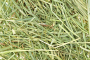 TIMOTHY GRASS SEED (PER POUND)