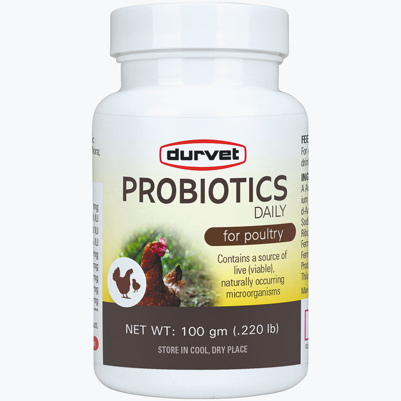 DURVET PROBIOTICS FOR POULTRY (100GM)