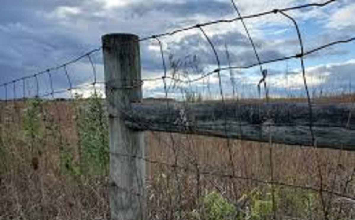 Field Fencing