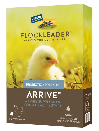 FLOCKLEADER ARRIVE (8OZ)