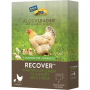 FLOCKLEADER RECOVER (7PK)