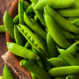 SUGAR SNAP PEA SEEDS