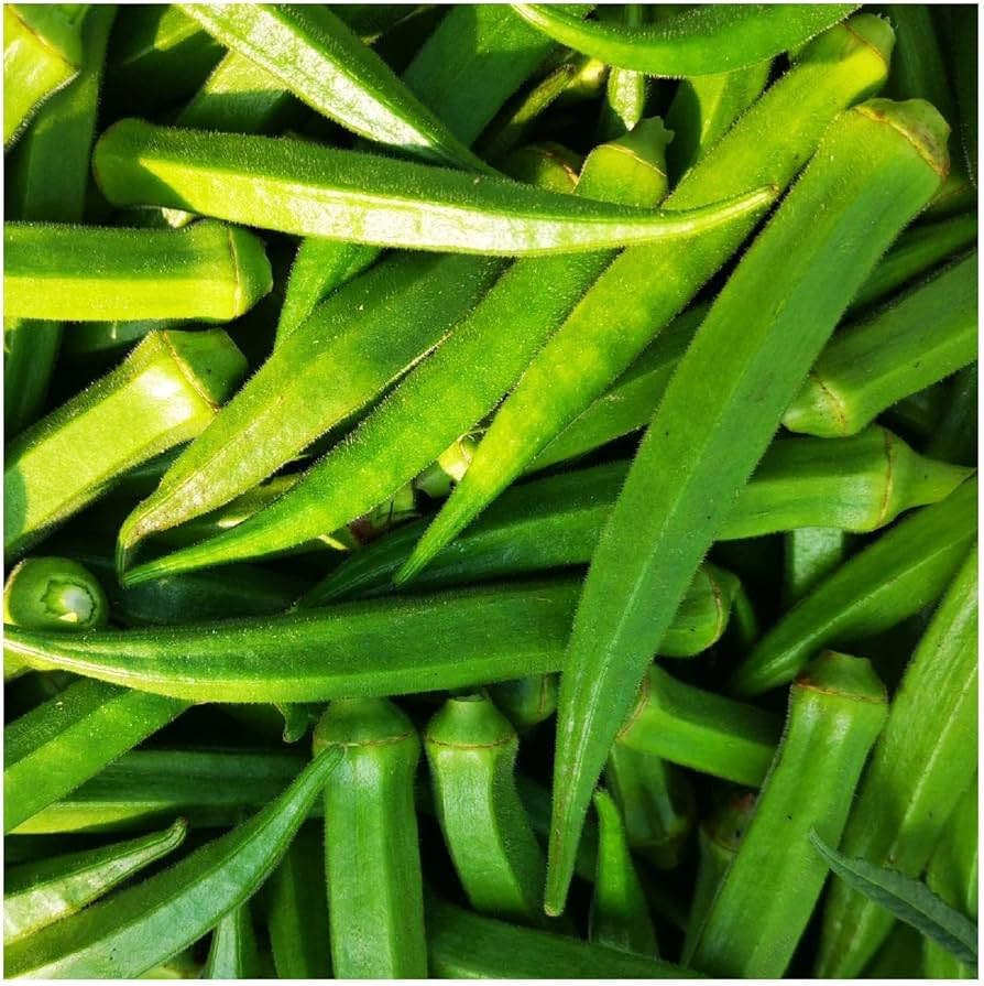 PERKIN'S LONG POD OKRA SEEDS