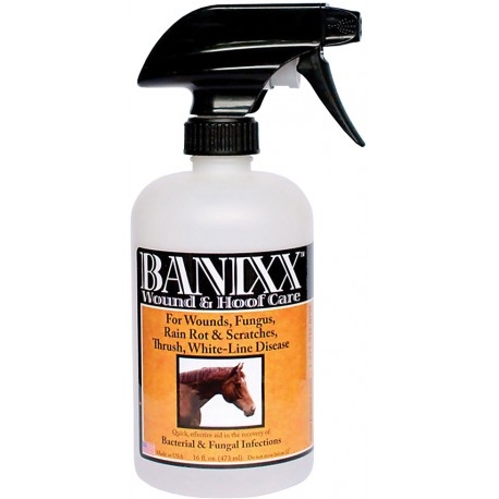 BANIXX WOUND & HOOF CARE (16OZ)