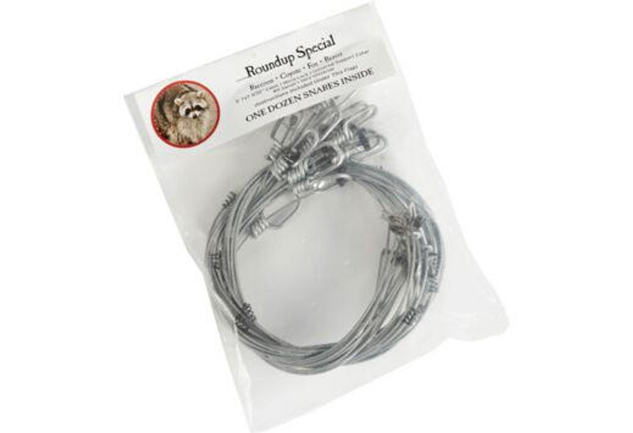 DUKE ROUNDUP SPECIAL SNARE #1 (12PK)