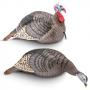 HUNTERS SPECIALTIES STRUT-LITE JAKE & HEN TURKEY DECOY COMBO