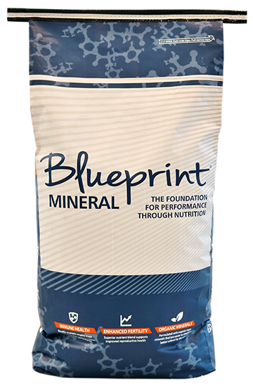 BLUEPRINT CATTLE MINERAL W/ CLARIFLY (50LB)