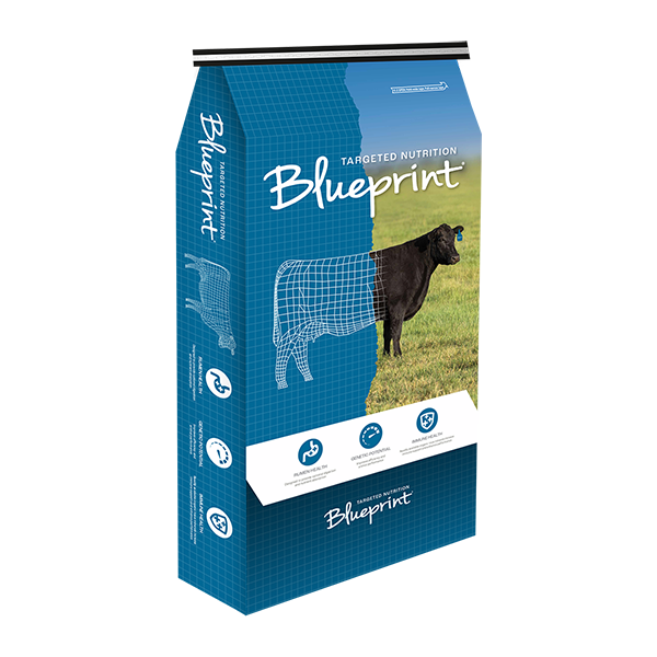 BLUEPRINT SHADE CATTLE MINERAL (50LB)