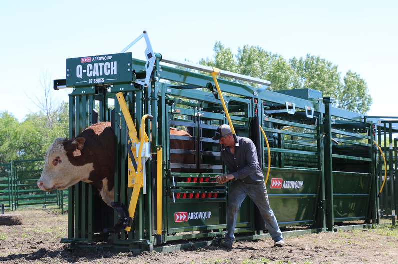 Cattle Equipment