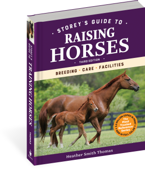 RAISING HORSES STOREYS