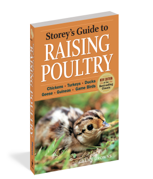 RAISING POULTRY 4TH ED