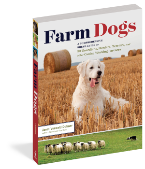 FARM DOGS-PAP