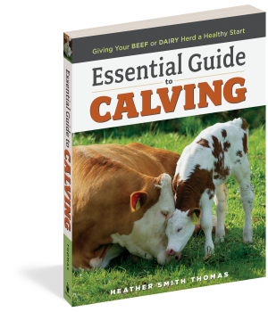 ESSENTIAL GUIDE TO CALVING