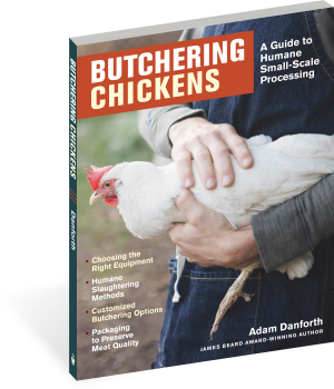 BUTCHERING CHICKENS