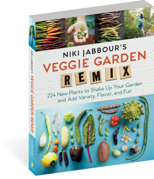 VEGGIE GARDEN REMIX