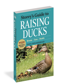 RAISING DUCKS 2ND ED