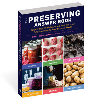 PERSERVING ANSWER BOOK, 2ND ED