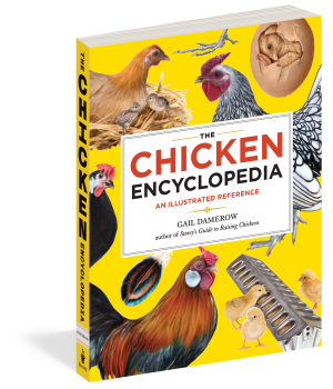 THE CHICKEN ENCYCLOPEDIA