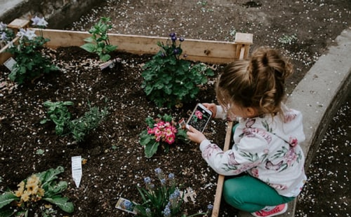 Garden Seed & Planters