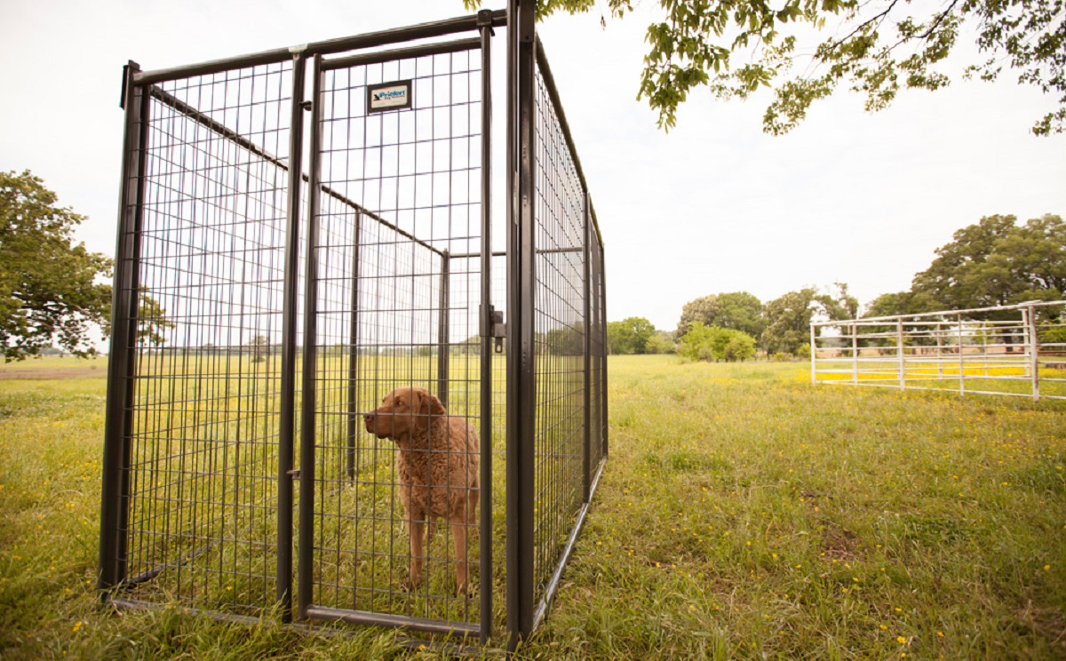 Kennels & Accessories