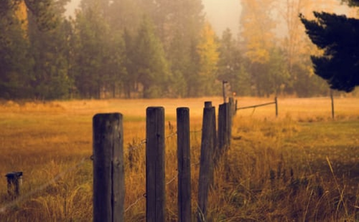 Fence Post