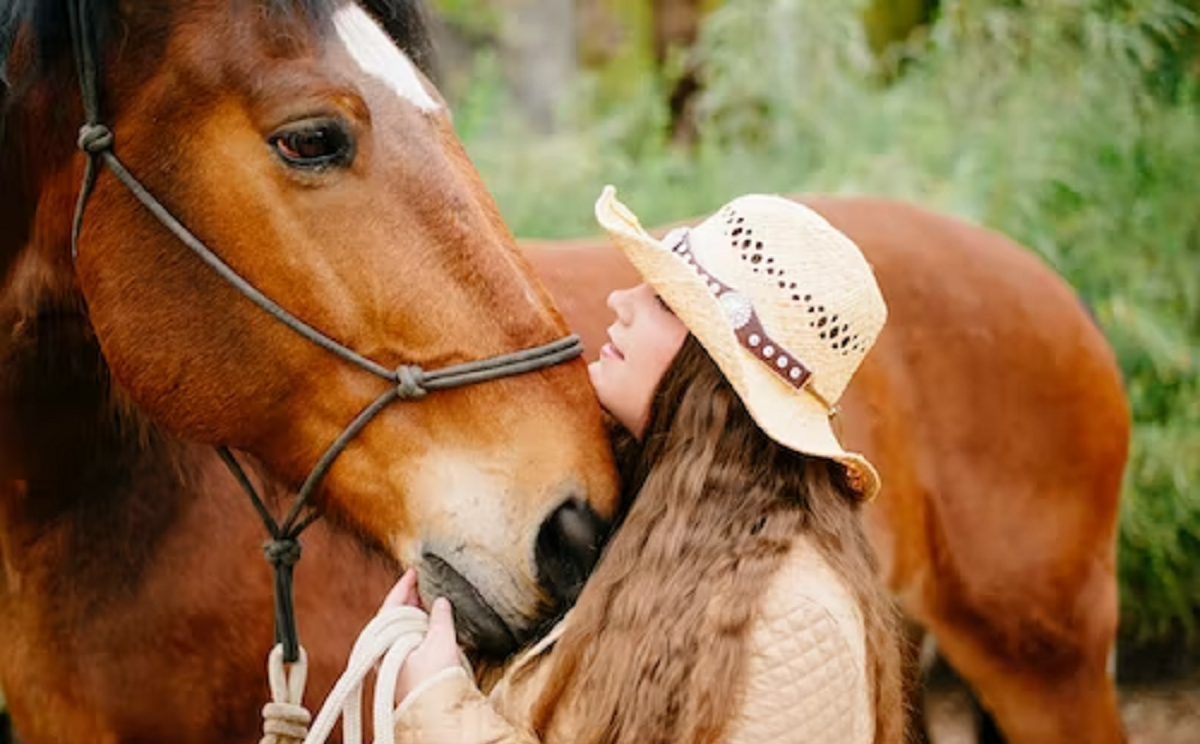 Halters, Leads, and Tack