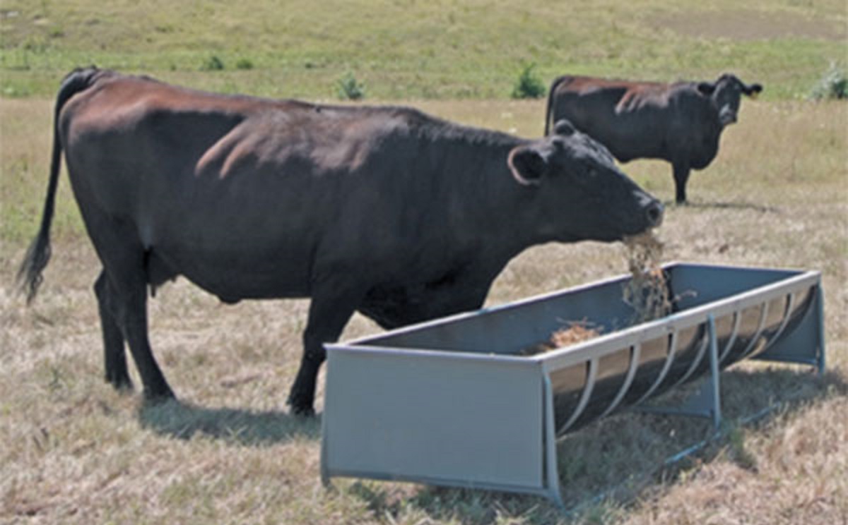 Bunk Feeders