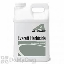 ALLIGARE EVERETT (1GAL)