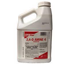 2,4-D AMINE (1GAL)