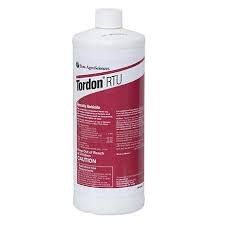 TORDON RTU (1QT)