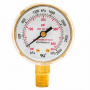 FORNEY 2" REGULATOR GAUGE, 0-400 PSI