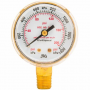 FORNEY 2" REGULATOR GAUGE, 0-200 PSI