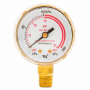 FORNEY 2" REGULATOR GAUGE, 0-30 PSI