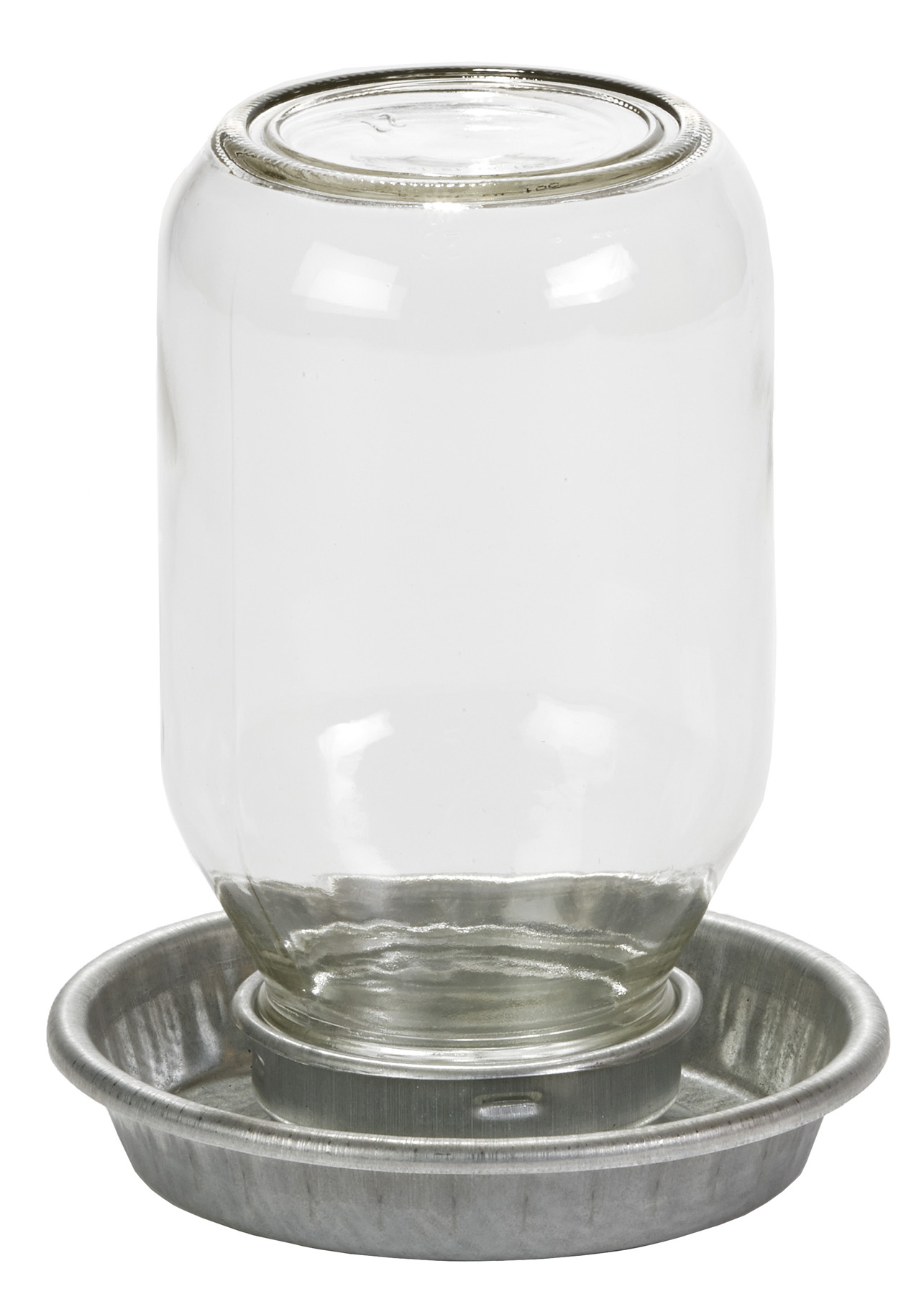 LITTLE GIANT MASON JAR BABY CHICK WATERER