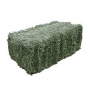 ALFALFA HAY (SQUARE BALE)