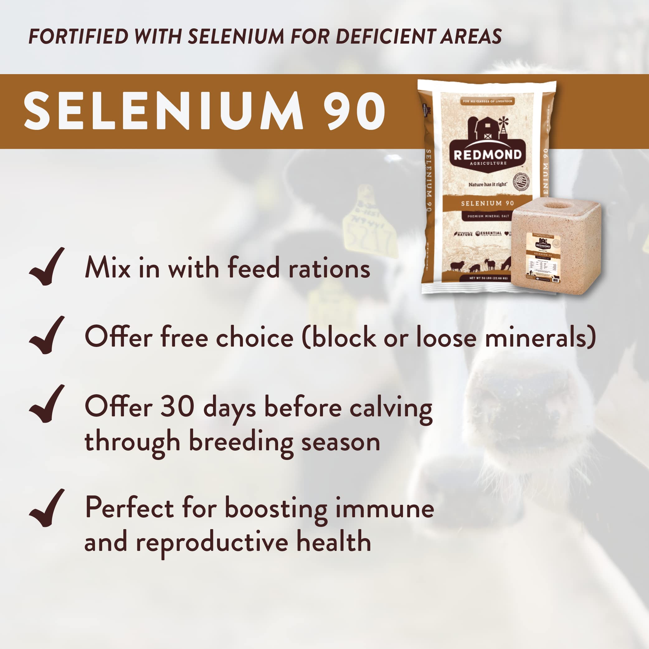 REDMOND SELENIUM 90 BLOCK (44LB)