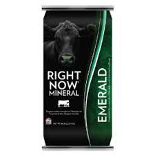 RIGHT NOW EMERALD 6 MINERAL (50LB)