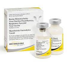 BOVI-SHIELD GOLD ONE SHOT (10 DOSE)