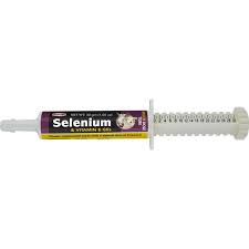 DURVET SELENIUM & VITAMIN E GEL (30 GRAM)