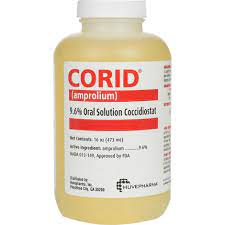 CORID 9.6% ORAL SOLUTION COCCIDIOSTAT FOR CALVES (16OZ)