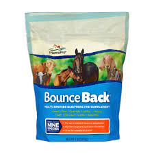 MANNA PRO BOUNCE BACK (4LB)