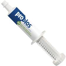 PROBIOS ORAL GEL (60 GRAM)