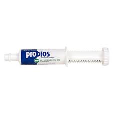 PROBIOS ORAL GEL (300 GRAM)