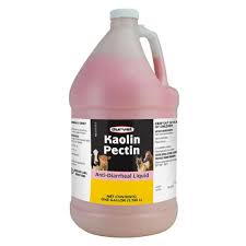 DURVET KAOLIN PECTIN (1 GAL)